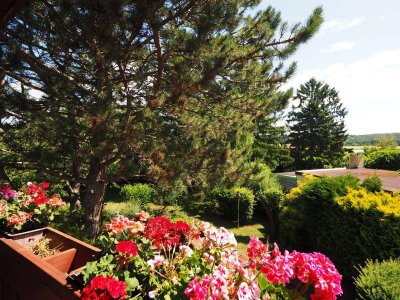150 m² Einfamilienhaus mit Pool, großem Grundstück &amp; Ruhelage – Berndorf bei Baden