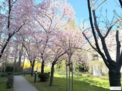 Grünruhelage nahe Glanzing! Perfekt geschnittene Dachterrassen-Studio-Wohnung mit optionalem Garagenplatz