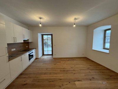 Terassenwohnung im Haunesteinhof