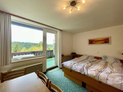 Sofort frei: 31 m² mit Balkon und Stellplatz