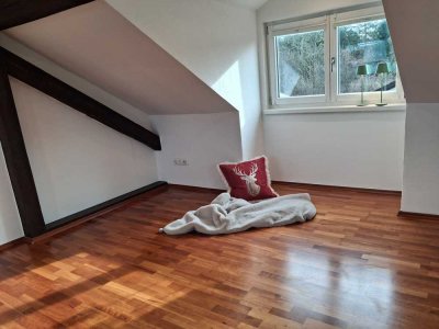 ruhige, zentrale,  helle 11/2   Zi-DG-Wohnung