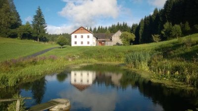 RENOVIERTER DREISEITHOF – ABSOLUTE ALLEINLAGE - AUSZEITHOF – BAUERNHOF – TIERHALTUNG - ARRONDIERTE LANDWIRTSCHAFT – NATURJUWEL - FISCHEREI -JAGD