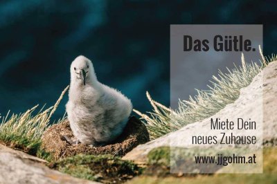 Moderne und hochwertige 2-Zimmer-Wohnung mit Loggia und TG-Platz