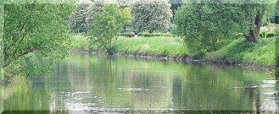 Villa mit viel Platz für die Familie und großem Garten am Niddapark