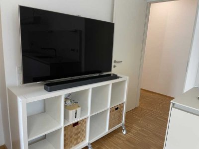 Voll ausgestattete und möblierte 1-Raum-EG-Wohnung mit luxuriöser Innenausstattung in Weinheim