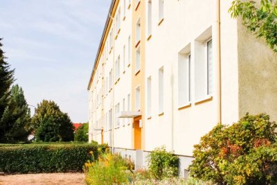 Auf ins neue Heim!