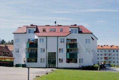 3 Zimmer Wohnung - Gmünd