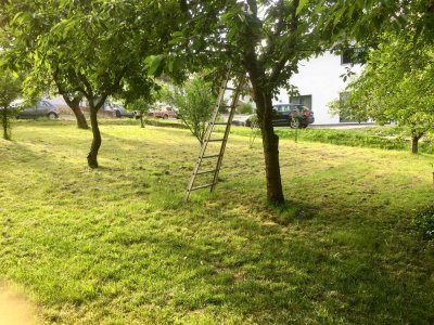 Zentrale 3,5 Zi. Wohnung mit Gartenbenutzung