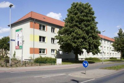 Wohnungsangebot Schilfbreite 41