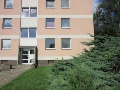 Helle, top geschnittene 3-Zimmer-WHG im 1. OG in sehr gepflegten MFH (Barsinghausen)