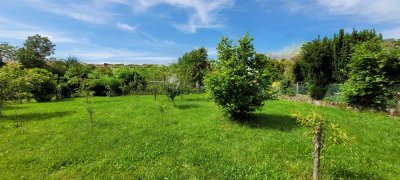 Exklusives Smart-Home-Einfamilienhaus mit Aufzug in Ormesheim