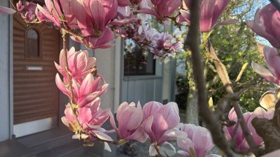 Stilvoll, luxuriöses Reiheneckhaus in Mönchengladbach Rheydt
