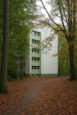 Wohnen im Grünen: Modernisierte 3-Zimmer-Wohnungen in der Karlsruher Waldstadt (mind. 2 Personen)