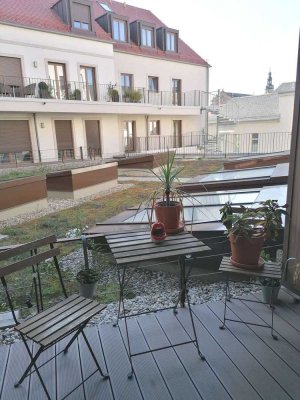 Großzügige 3 Zimmer- Wohnung mit herrlicher Dachterrasse im Quartier an den Stadtmauern