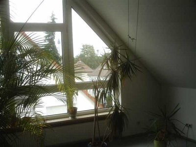Gepflegte 2,5-Zimmer-Maisonette-Wohnung mit Loggia und EBK in Nürnberg