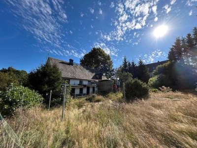 EFH Clausnitz - Rechenberg Bienenmühle mit großem Grundstück und Garage / SP