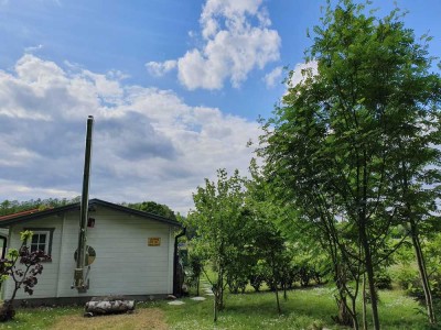 Gepflegtes 1-Zimmer Haus in Wedemark