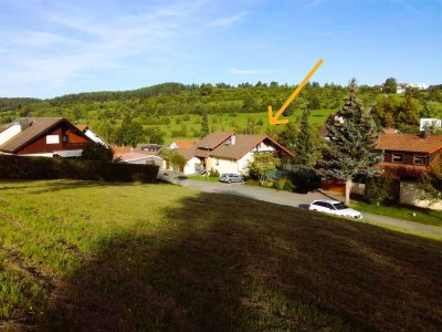 Helle 3-Zimmer-Wohnung mit Balkon, Einbauküche, Garage  in Egenhausen