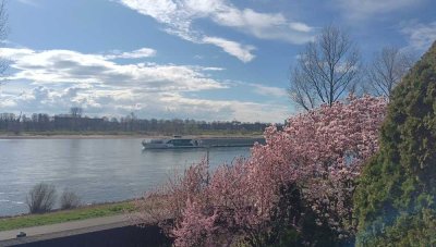 Seltene Gelegenheit für eine exklusive Wohnlage direkt am Rhein