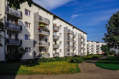 Moderne Erdgeschosswohnung im Hellwinkel // EG links