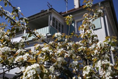 Doppelhaushälfte in Mosbach - von privat