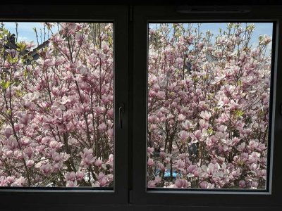 Erstbezug nach Sanierung - Moderne 4-Zimmer-Maisonettewohnung mit Balkon, 2 Bädern & Gäste-WC