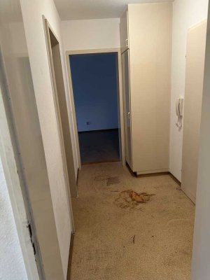 2-Zi.-ETW - Freiburg-Weingarten - leer