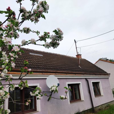 Renovierungsbedürftiges Einfamilienhaus mit 5 Zimmern, Garten direkt bei der U1