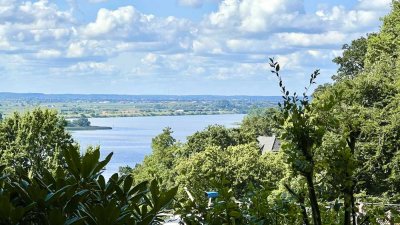 Elbblick - einmalige Süd-West-Wohnung mit großem Balkon, Hanglage - besondere Immobilie!