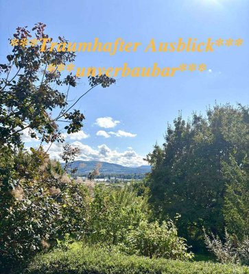 **EFH mit gr. teilbarem Grundstück in Bestlage Talstr. Grenzach unverbaubarer Blick in die Schweiz**