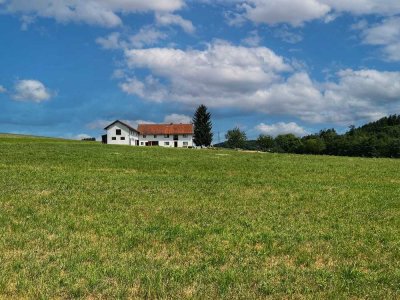 EINZIGARTIGES HOFANWESEN AUF 1,2HA GRUND (183qm - 470qm WFL/NFL)