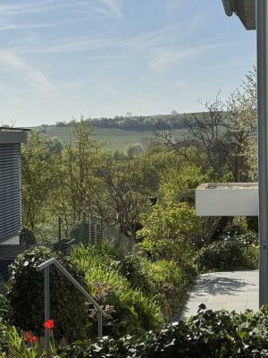 Wohnen in den Weinbergen! Idyllische 2-Zimmer Wohnung sucht Nachmieter