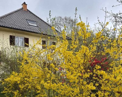 Familienvilla im Dornröschenschlaf  -  Bestes Obermenzing  -  Nymphenburger Kanal