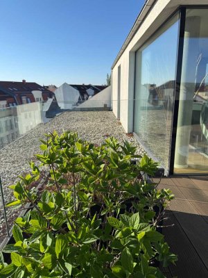 Penthouse Dresden-Pieschen