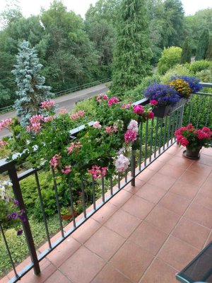 Zuhause mit drei Zimmern und Balkon in Pirmasens