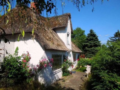 SYLTNÄHE ! Großes Eck-Grundstück mit Altbestand sucht neuen Eigentümer