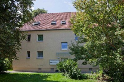 Klein aber fein - spazieren Sie zum Kulkwitzer See!