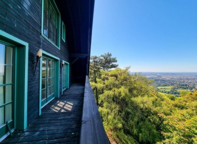 EXTRAVAGANT /// Villenmaisonette mit sensationallem Blick über Wien