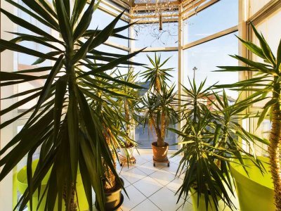 Gar nicht mal so klein, aber fein!