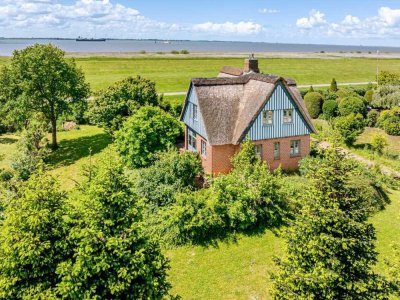 Rarität - Warfthaus direkt an der Elbe