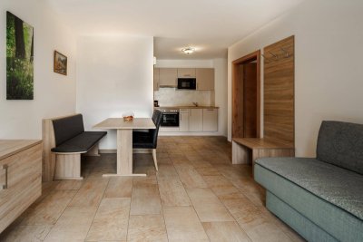 Kompaktes Alpen-Appartement mit touristischem Potenzial (06745)