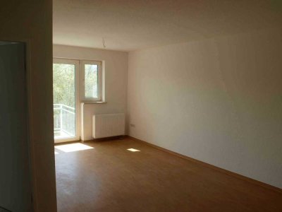 Schöne und gepflegte 2-Raum-Wohnung mit Balkon in Weißandt Gölzau