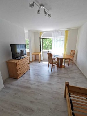 1 Zimmer Wohnung im 2. OG in Ludwigshafen Mitte