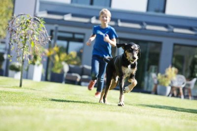 Bien-Zenker: Ihr individuelles Zuhause mit EVOLUTION 154