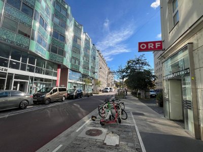 Privat Verkauf Argentinierstrasse/ Karlsplatz! Renovierte 107qm sonnige ruhige barrierefreie Eigentumswohnung mit 8200qm privatem Park und Garage Keine Makler!