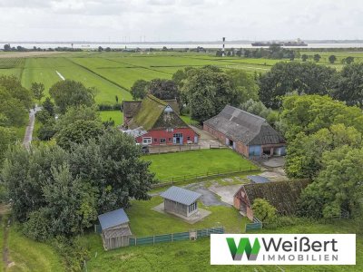 Charmantes Reetdach-Anwesen nahe der Elbe 
- Wohnen, Ferienvermietung & Pferdehaltung auf 10.480 m²