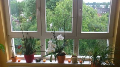 PRIVAT: TOP-Dachgeschoßwohnung mit Blick ins Grüne