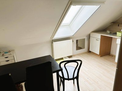 Dachgeschosswohnung mit Blick an die Donau