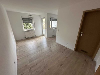 Frisch renovierte, helle 1-Zimmer Wohnung mit Loggia