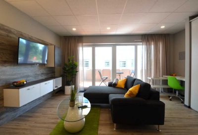 ab 01.05. Geräumiges 1-Zimmer-Apartment mit Balkon, möbliert & eingerichtet, Marktheidenfeld